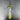 L flight feather K18 top 01/ K18 claw